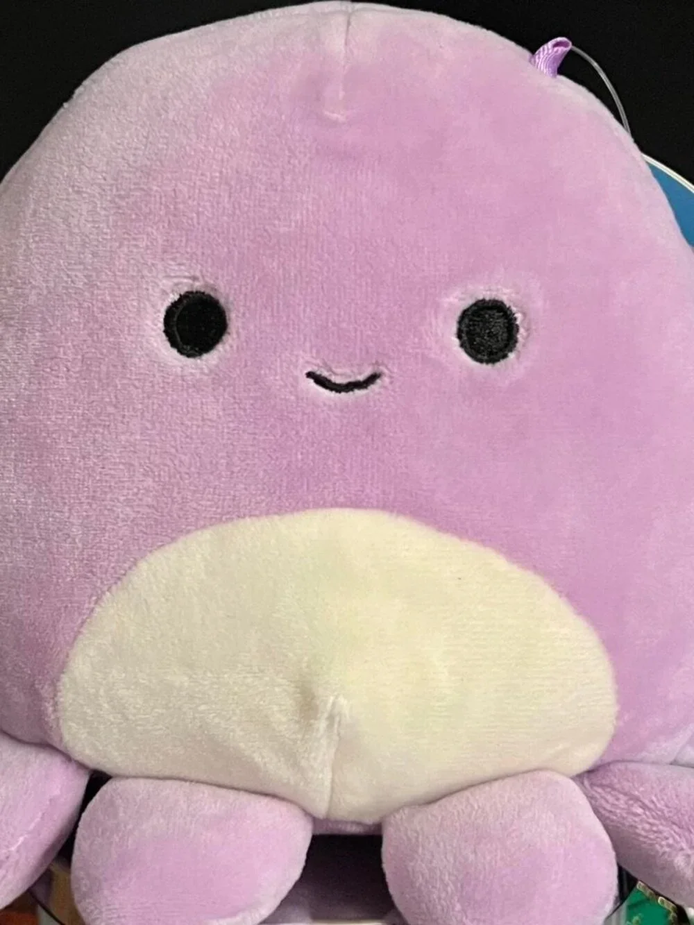 Violet the Purple Octopus 5